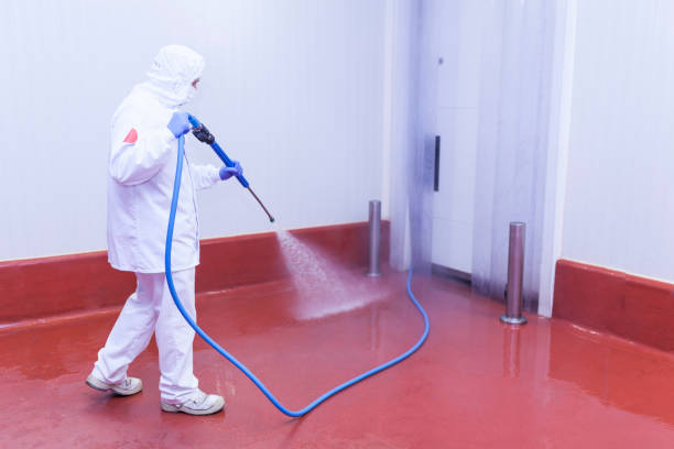 Best Sidewalk and Walkway Cleaning  in Buckeye Lake, OH
